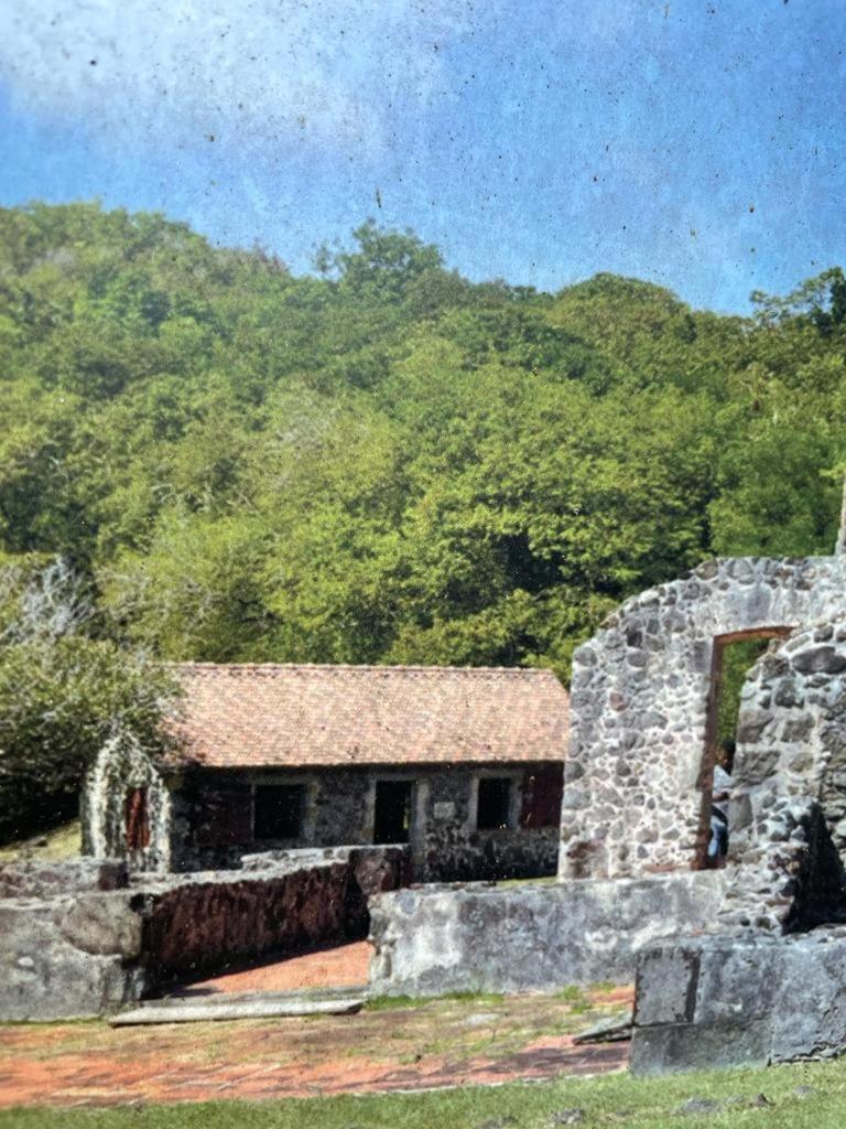 Location Saisonniere Vue Mer A Tartane La Trinité Zewnętrze zdjęcie